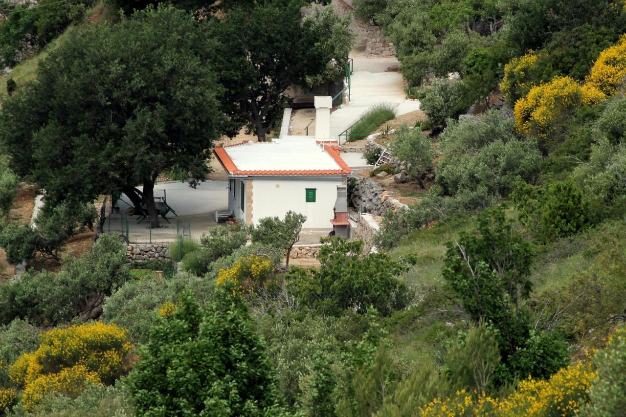 Villa " Davorka" Podgora Extérieur photo