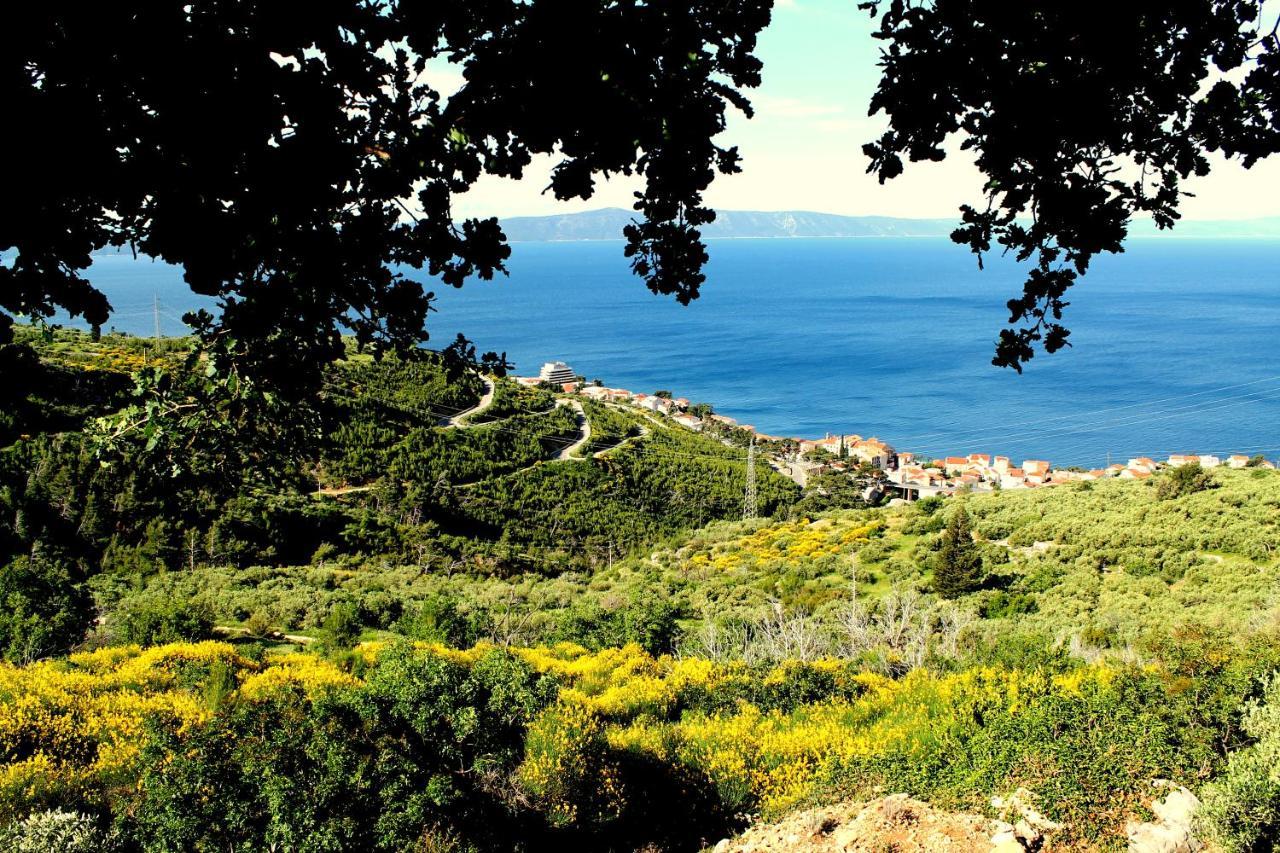 Villa " Davorka" Podgora Extérieur photo