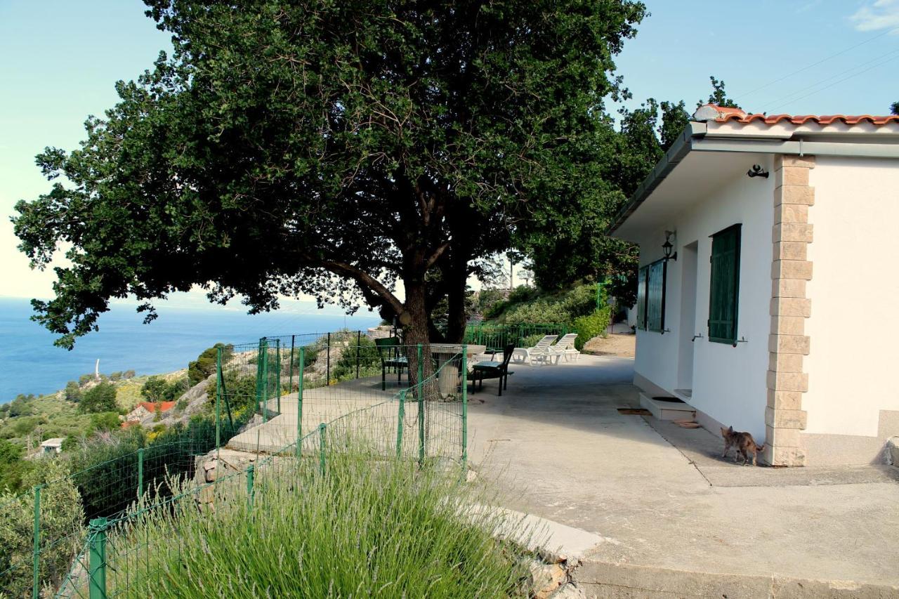 Villa " Davorka" Podgora Extérieur photo