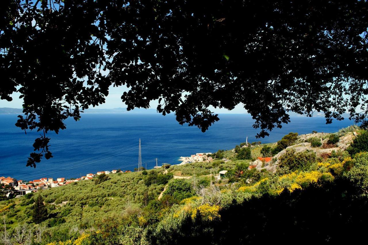 Villa " Davorka" Podgora Extérieur photo
