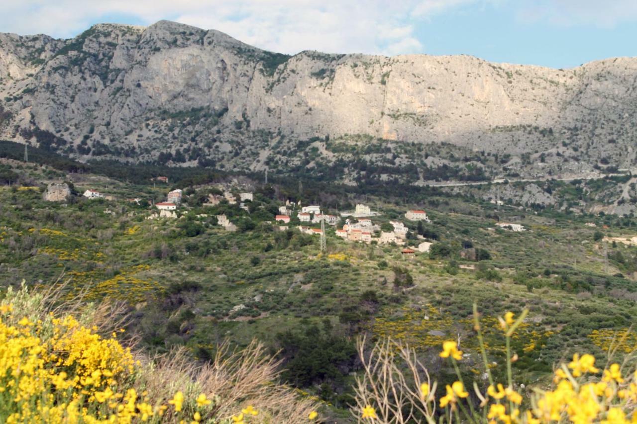 Villa " Davorka" Podgora Extérieur photo