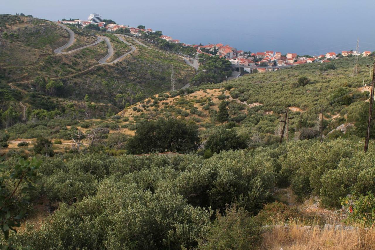 Villa " Davorka" Podgora Extérieur photo