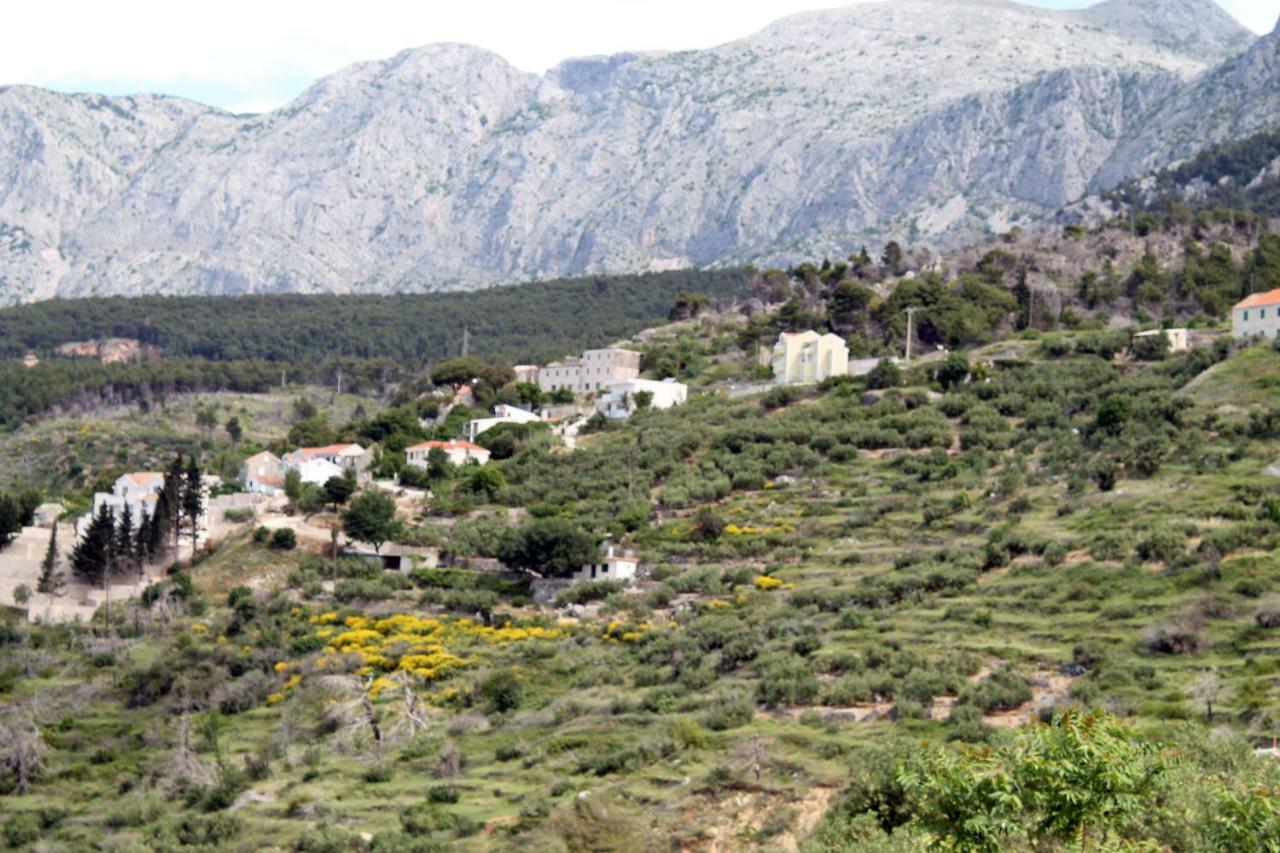 Villa " Davorka" Podgora Extérieur photo