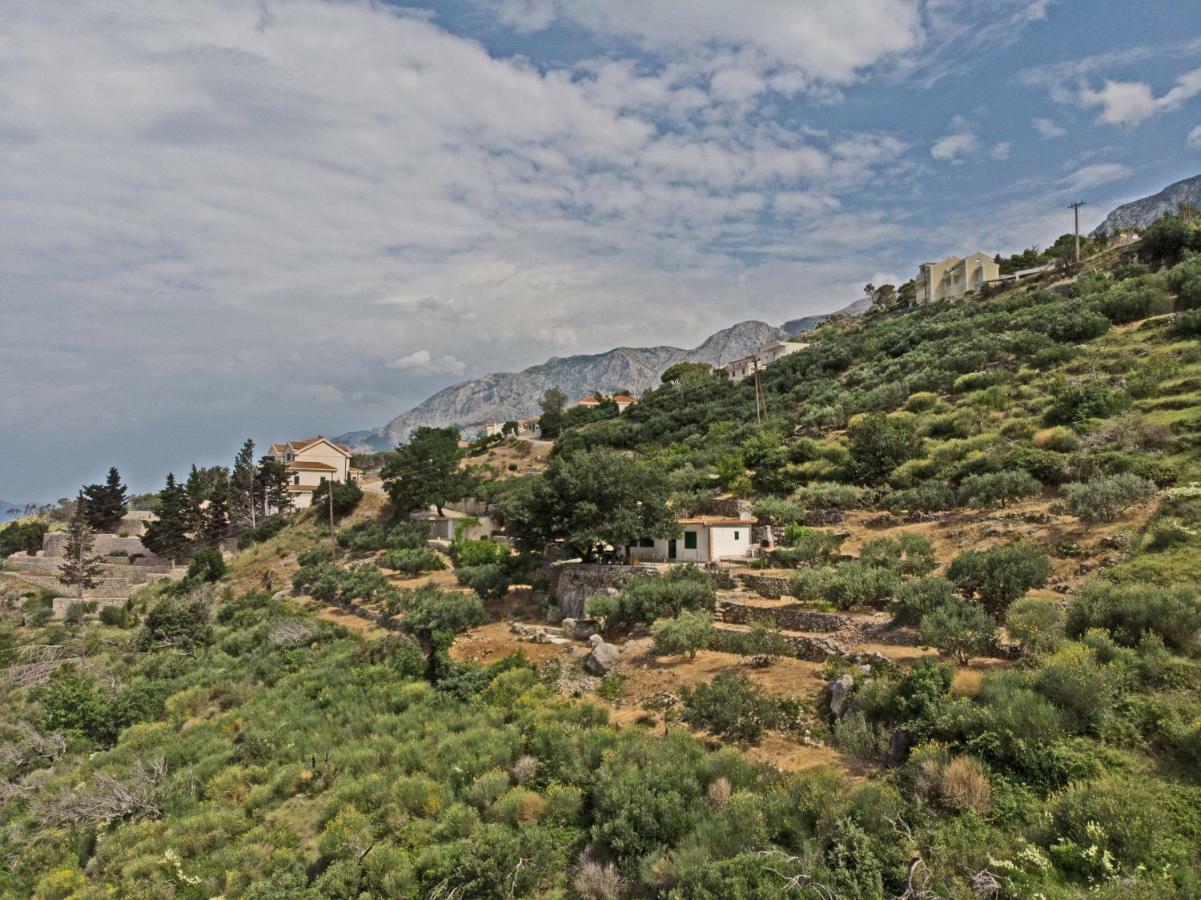 Villa " Davorka" Podgora Extérieur photo